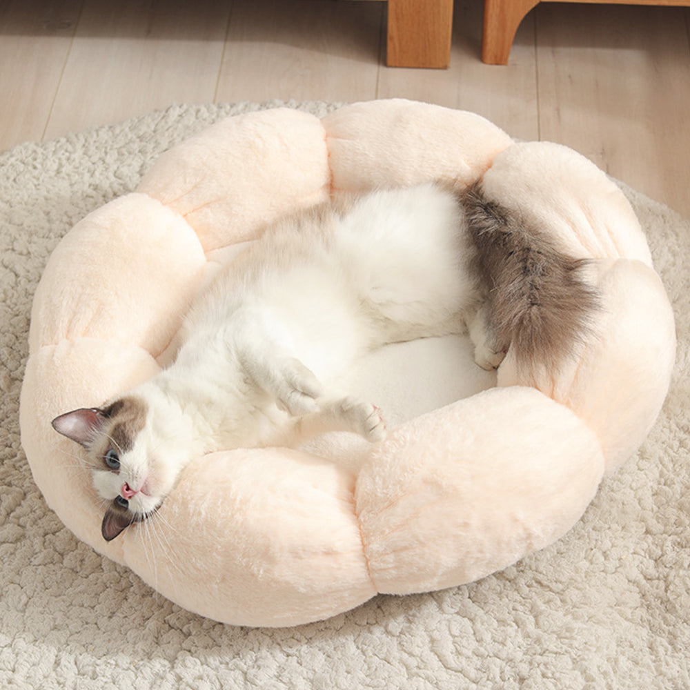 Give Your Pet the Comfort They Deserve 🐶🐱✨