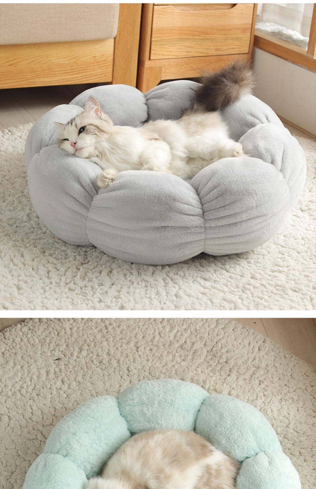 Give Your Pet the Comfort They Deserve 🐶🐱✨