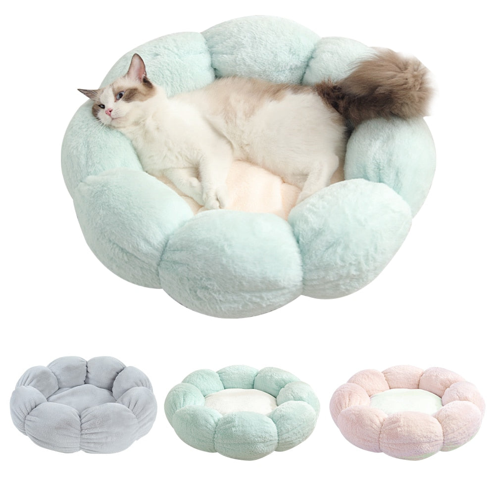 Give Your Pet the Comfort They Deserve 🐶🐱✨