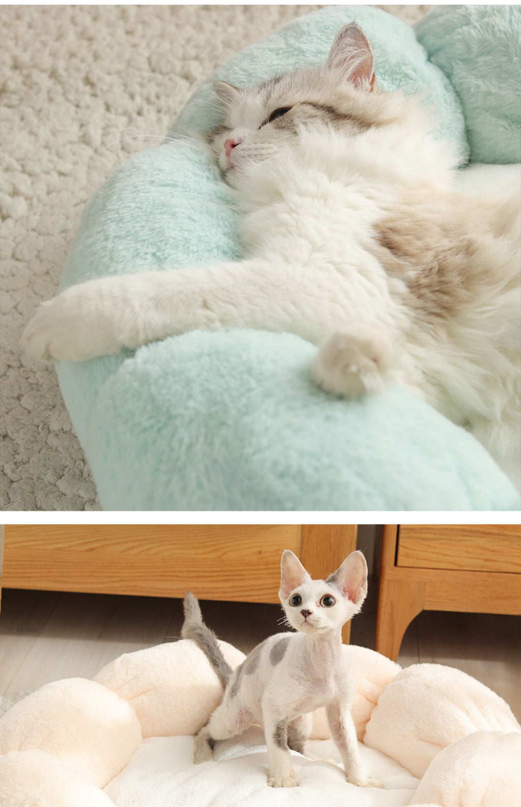 Give Your Pet the Comfort They Deserve 🐶🐱✨