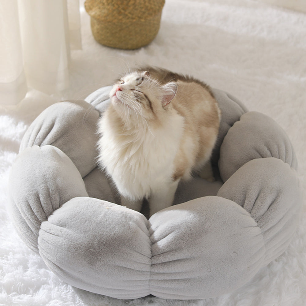 Give Your Pet the Comfort They Deserve 🐶🐱✨