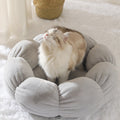 Give Your Pet the Comfort They Deserve 🐶🐱✨