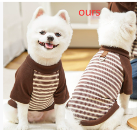 Keep Your Pup Cool & Stylish This Summer 🐶🌞