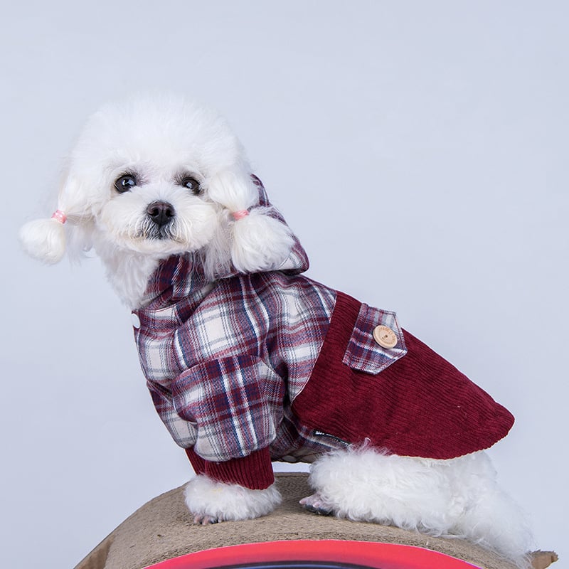 Keep Your Pup Warm in Luxury ✨🐶