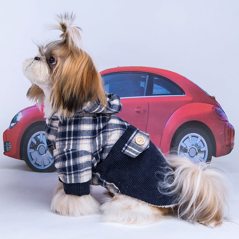 Keep Your Pup Warm in Luxury ✨🐶